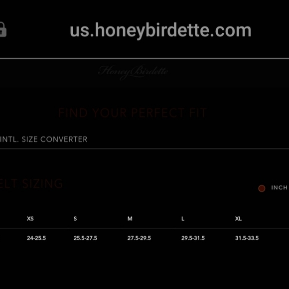 Mary May Suspender / Garter Belt Honey Birdette - Picture 13 of 14